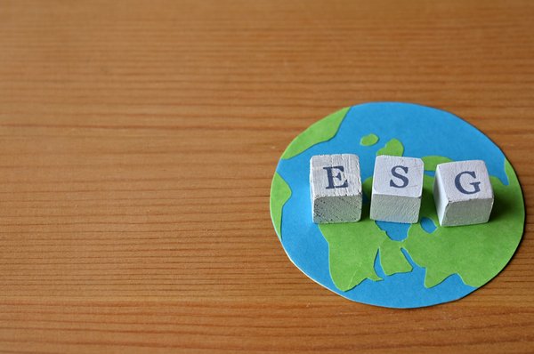 环境、社会和公司治理(ESG)